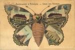 Рогатин. Метелик з 1906 р.
