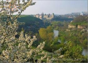 Spring blossom