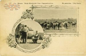 Славута. 1879р. Кумисолікарня. Доять кобилу.