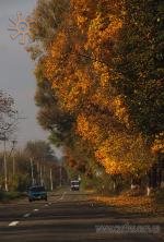 Траса на Вижницю біля Брусниці в жовтні 2014 р.