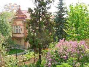 Ботанічний сад, Ужгород.