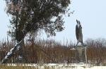Бояни. На католицькому цвинтарі