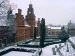 Winter in Chernivtsi