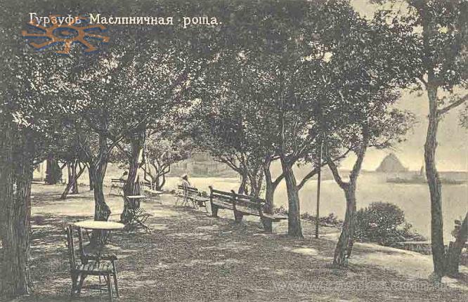 Маслячна роща в Гурзуфі