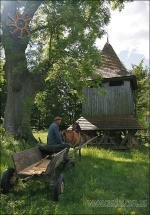 Дзвіниця-аксакал і паламар. І кінь.