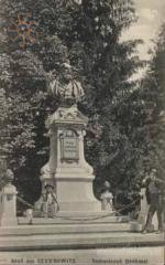 Пам'ятник Томащуку в Чернівцях.
