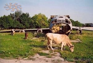 Олександр Волков. Кладовище літаків.