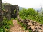 Nevytske Castle, Transcarpathia, Ukraine